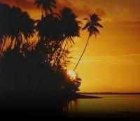 Beispielfoto